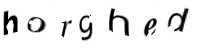 immagine CAPTCHA